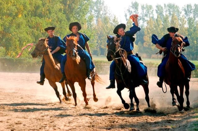 Authentic Hungarian Puszta Adventure & Day Trip from Budapest