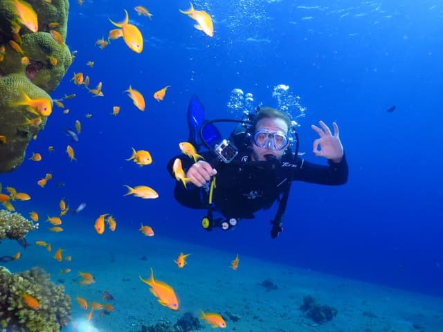 Eliat: Introduction to Scuba Diving