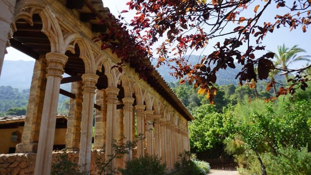 Mallorca: Day Trip to Hidden Gems of Tramuntana with Lunch