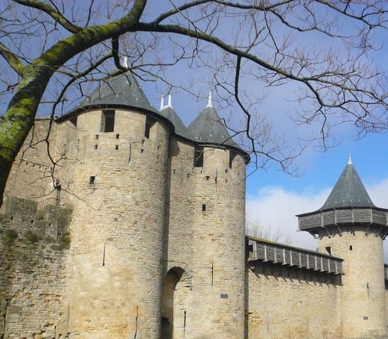 Carcassonne: Fortress Walking Tour