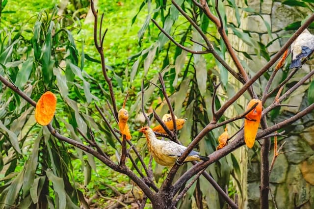 Kuala Lumpur: Bird Park Entry & 1-Way Shared Transfer