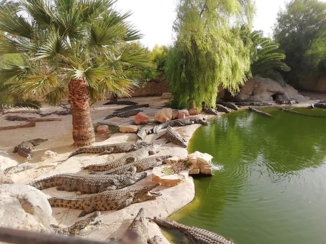 Experience Authentic Culture at Djerba Explore Park
