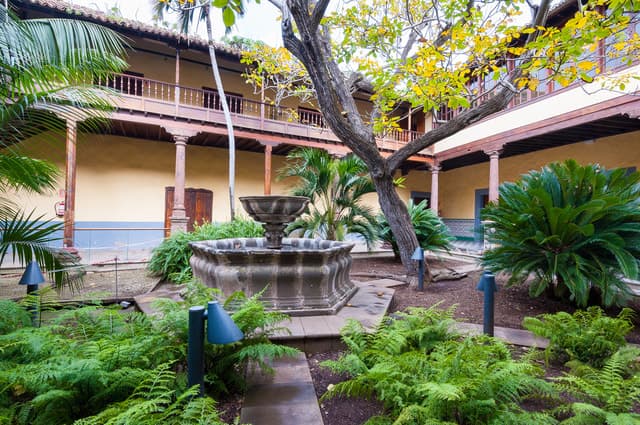 Tenerife: Full-Day Gastronomy and Wine Tour