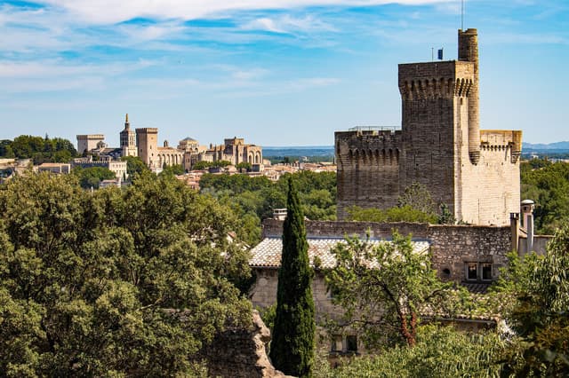 Avignon: Private Walking Tour – Discover History & Heritage