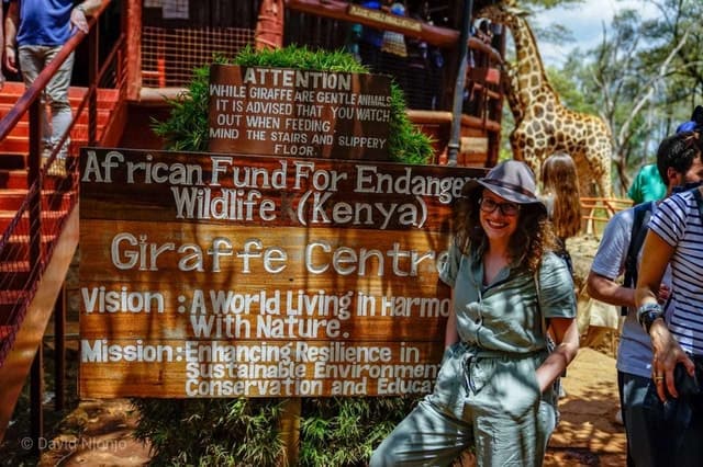 Giraffe, Elephant Orphanage