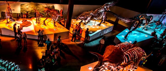 Houston: 1-Day or 3-Day Museum Pass