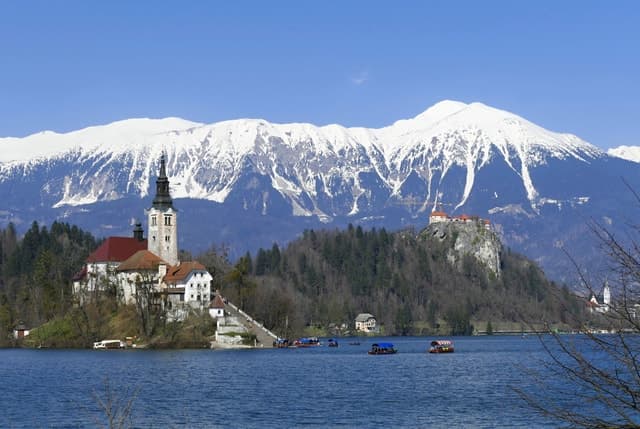 From Ljubljana: Private Bled Lake Day Trip to Top Viewpoints
