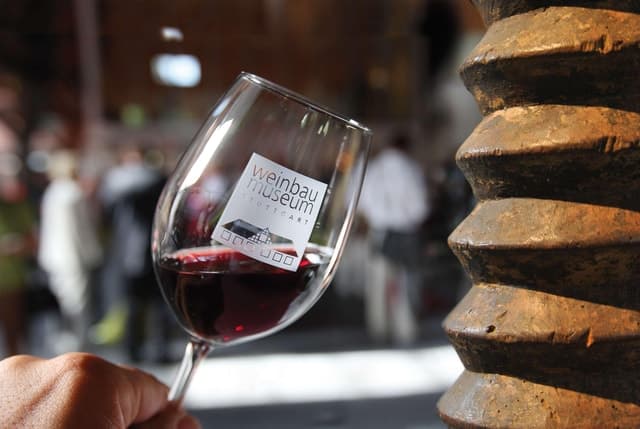 Best Stuttgart Wine Hike Tours & Guides