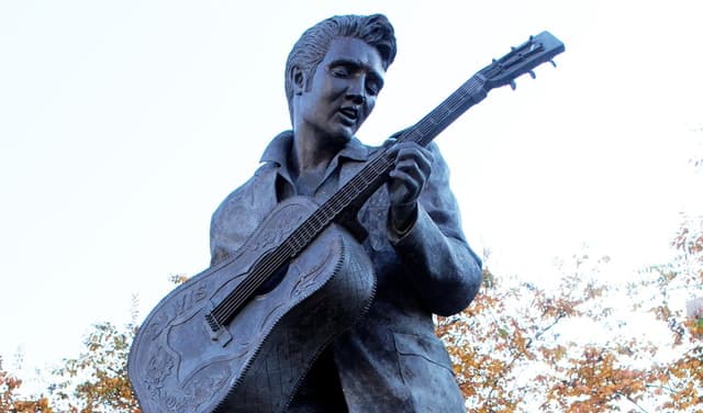 Memphis City Tour + Elvis Experience with entry to Graceland