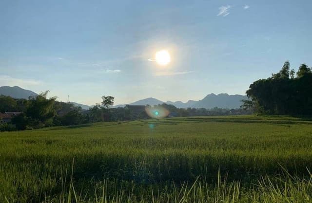 Authentic Lao Culinary Journey in Luang Prabang