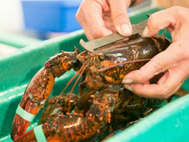 Kennebunkport, Maine: Lunchtime Culinary Walking Tour