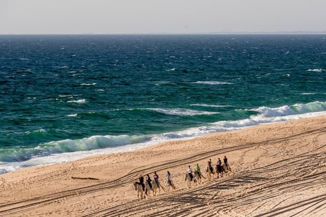Melides: Horse Riding on the Beach with Wine Tasting