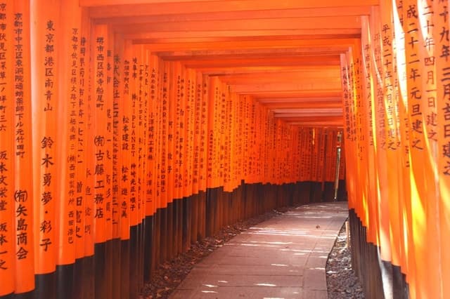 Arashiyama Osaka: Top Rated Tours & Experiences