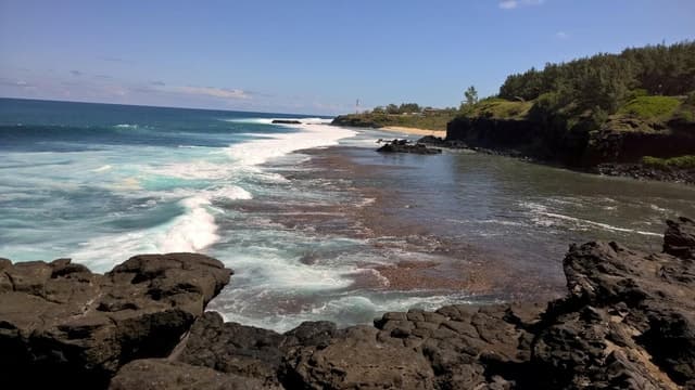 Mauritius: Private South Side and Dolphin Adventure Tour