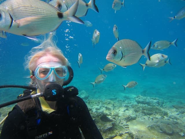 Bodrum: Scuba Diving Trip with Lunch