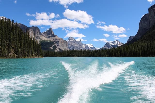 Jasper: Maligne Valley Wildlife & Spirit Island Cruise