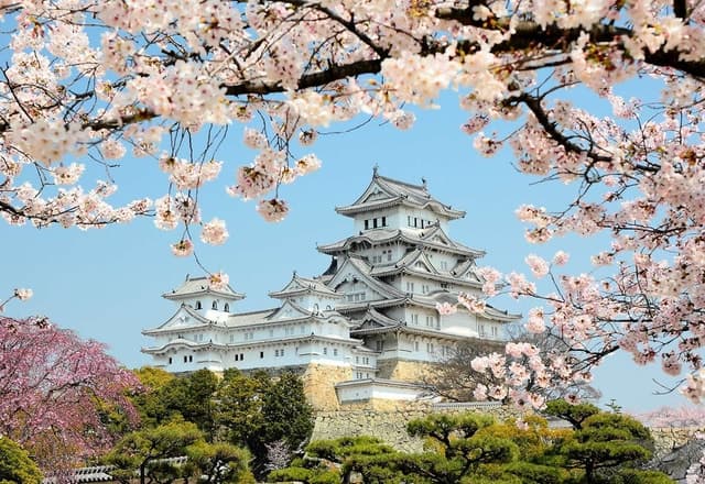 Exclusive Himeji Private Tours & Cultural Experiences