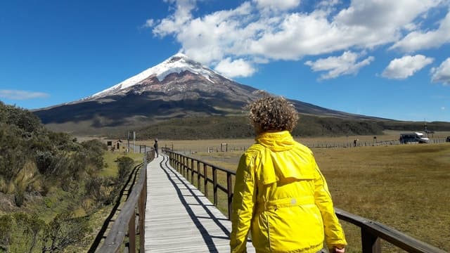 From Quito: Cotopaxi National Park Full-Day Tour with Hike