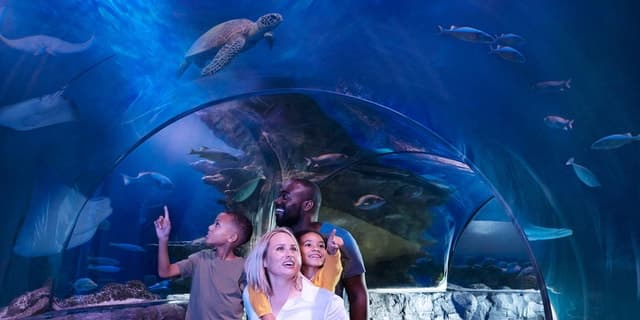 SEA LIFE Charlotte-Concord Aquarium General Admission