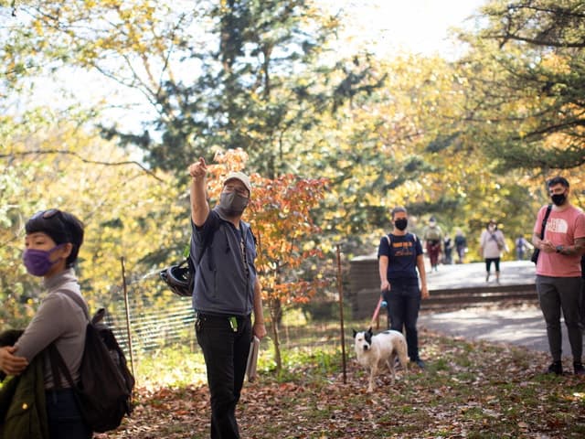 Brooklyn: 2-Hour Prospect Park Guided Walking Tour