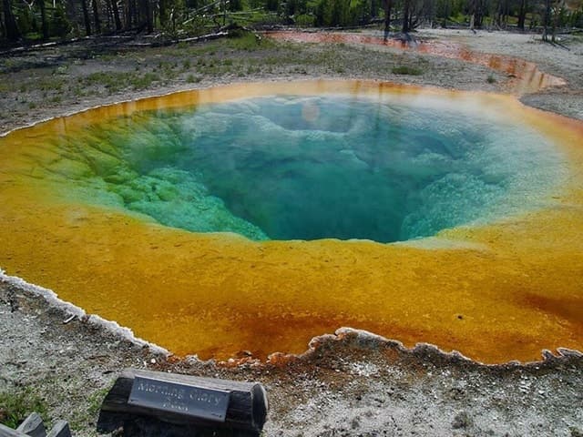 West Yellowstone: Yellowstone Day Tour Including Entry Fee
