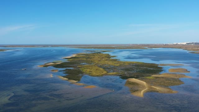 Ria Formosa: Armona and Culatra Islands 3-Hour Boat Tour
