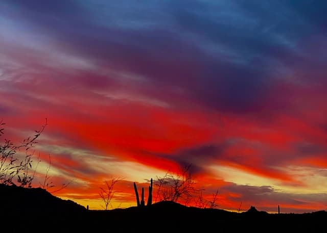 Phoenix: Sonoran Desert Guided Sunset Hike