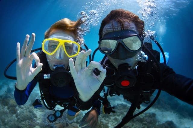 Best PADI Mermaid Tours & Dolphin Swims in Barcelona