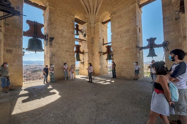 Segovia: Cathedral Tower Guided Tour