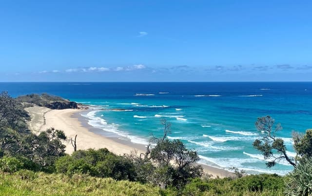 From Brisbane: North Stradbroke Island Wildlife Adventure