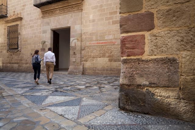 Málaga: Museo Picasso Málaga Entry Ticket