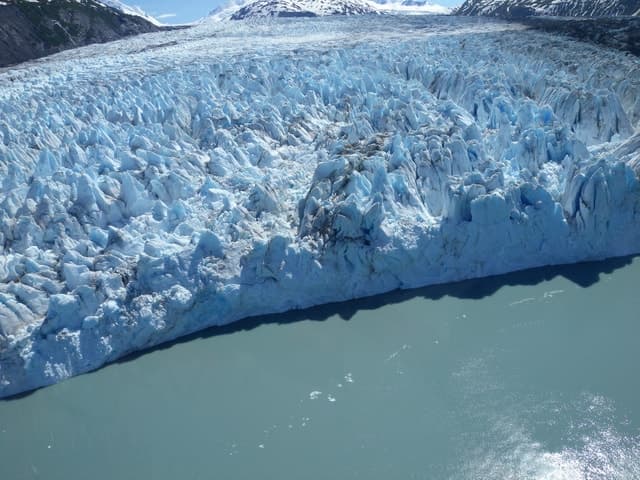 Anchorage: Glacier & Wildlife Discovery Tour (7-hours)