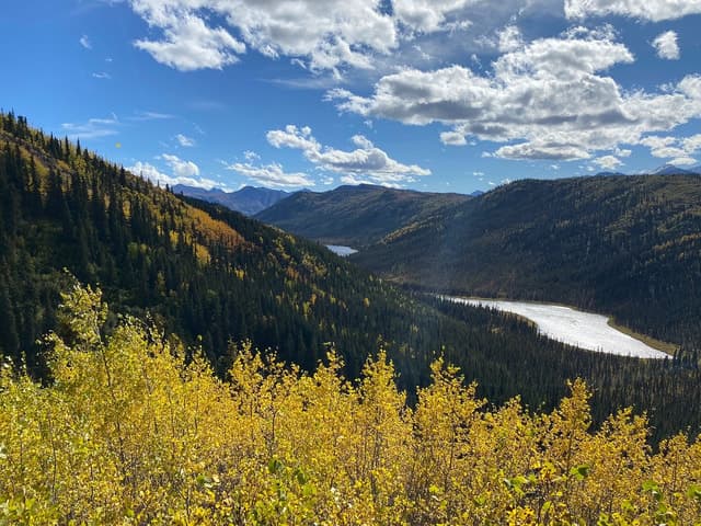 Denali: 5-Hour Guided Wilderness Hiking Tour