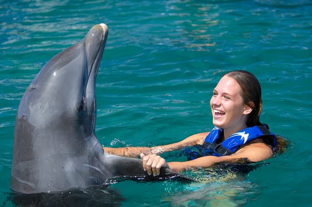Unforgettable Dolphin Encounters in Punta Cana