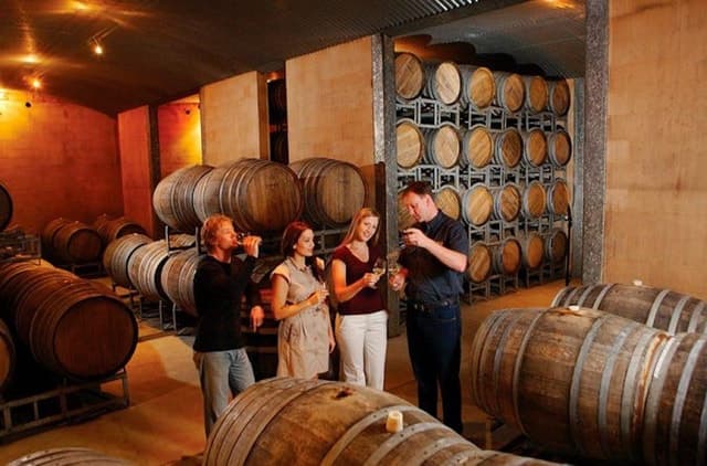 Launceston: Tamar Valley Wine Tour with Lunch