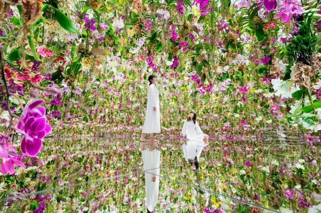 Tokyo: teamLab Planets TOKYO Digital Art Museum Entry Ticket
