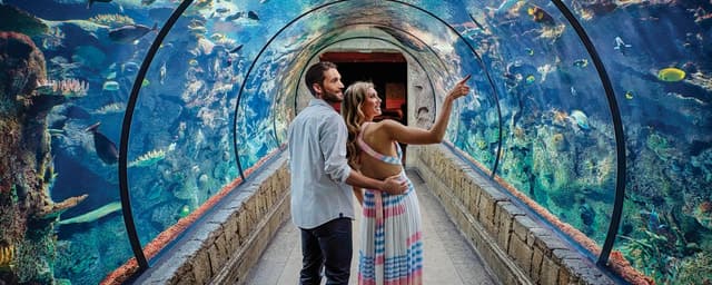 Las Vegas: Shark Reef Aquarium Entry Ticket