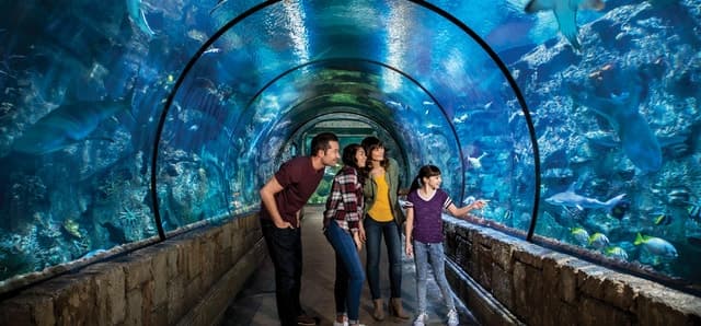 Las Vegas: Shark Reef Aquarium Entry Ticket