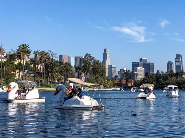 Echo Park Lake: Swan Pedal Boat Rental
