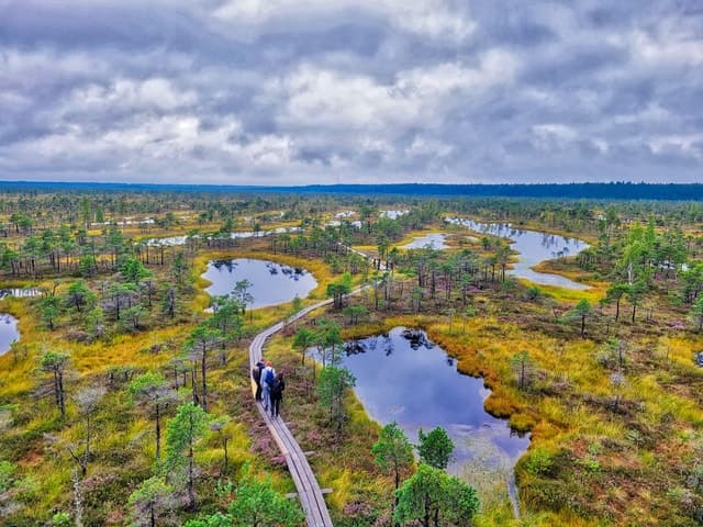 Explore Kemeri National Park: The Best Nature Tour from Riga