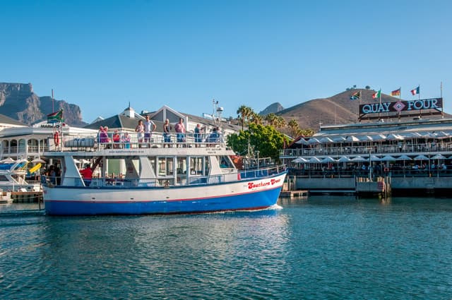 Cape Town: 30 Minute Harbour Boat Cruise with Seal Watching