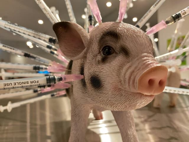Disgusting Food Museum: Berlin Tours & Tickets