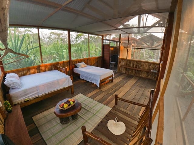 From Puerto Maldonado: 4-Day Excursion /wildlifesearch