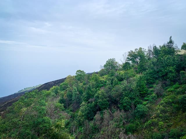 Sao Filipe: Coffee Plantation and Natural Pools Day Trip