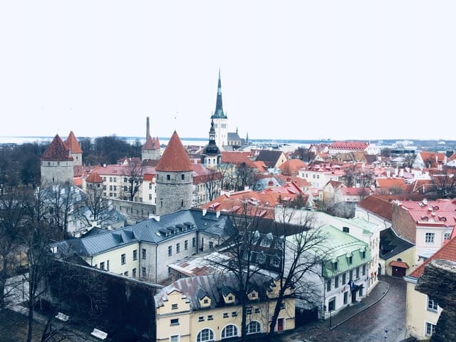 Tallinn: Day Tour from Helsinki with Hotel Pickup