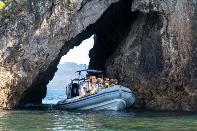 Whitianga: Cathedral Cove Cruise, Caves & Snorkelling