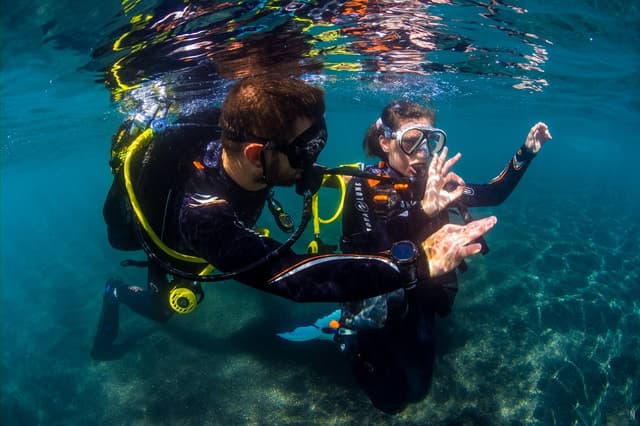 Best Santa Cruz de Tenerife Sightseeing & City Tours