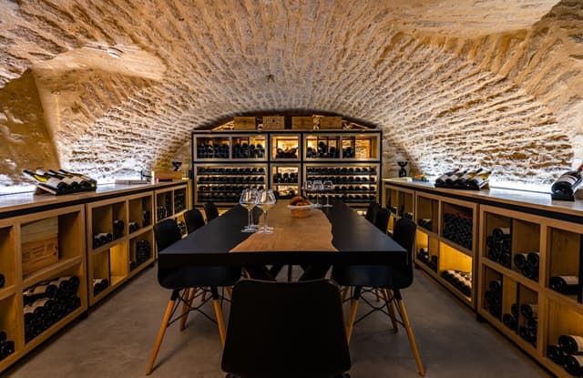 Top Rated Burgundy Wine Tours from Dijon
