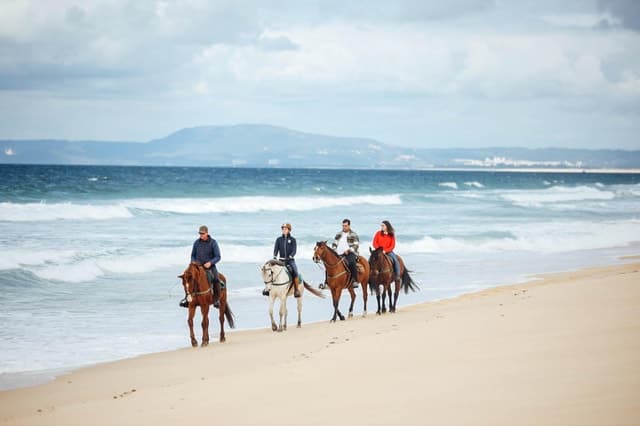 Best Guided Horseback Riding Tours in Comporta, Setubal