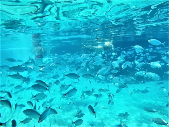 Ibiza: Snorkeling and SUP Paddle, Beach and Cave Tour
